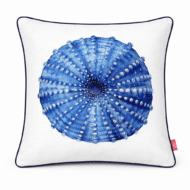 White scatter cushion with detailed blue watercolor sea urchin illustration and navy piping